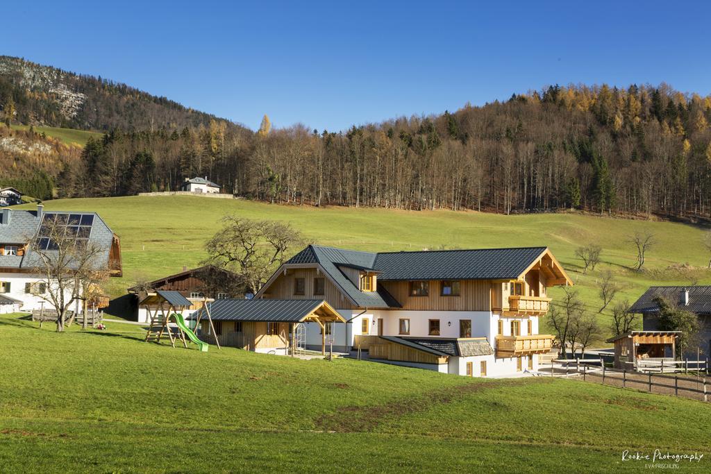 Reiterhof Suassbauer Vila Saint Wolfgang Exterior foto