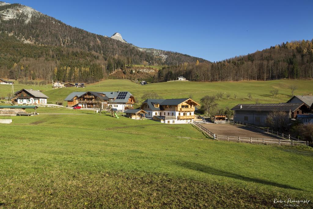 Reiterhof Suassbauer Vila Saint Wolfgang Exterior foto